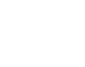 icon-pub